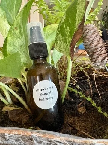 An amber spray bottle labelled Natural bug spray among pothos leaves and pinecones